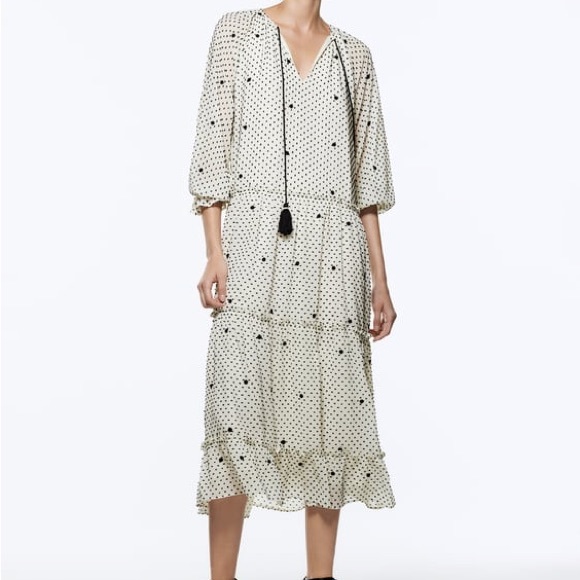Zara Dresses & Skirts - Zara Dotted Mesh Oversized Maxi Dress Size Large L NWT Polka Dots Swiss Dots